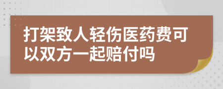 打架致人轻伤医药费可以双方一起赔付吗