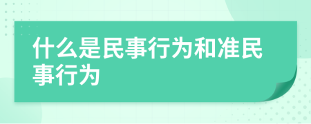 什么是民事行为和准民事行为