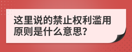 这里说的禁止权利滥用原则是什么意思？