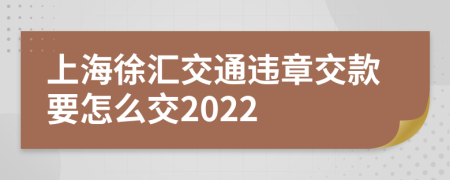 上海徐汇交通违章交款要怎么交2022