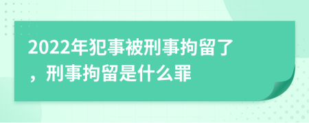 2022年犯事被刑事拘留了，刑事拘留是什么罪