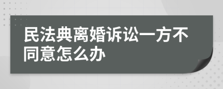 民法典离婚诉讼一方不同意怎么办