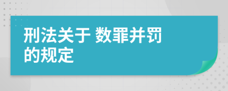 刑法关于 数罪并罚 的规定