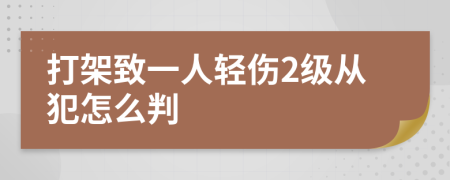 打架致一人轻伤2级从犯怎么判