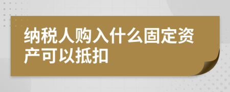 纳税人购入什么固定资产可以抵扣