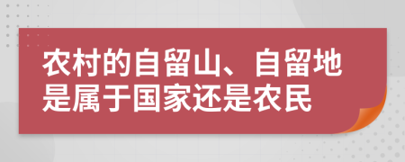 农村的自留山、自留地是属于国家还是农民