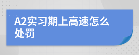 A2实习期上高速怎么处罚