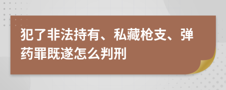 犯了非法持有、私藏枪支、弹药罪既遂怎么判刑