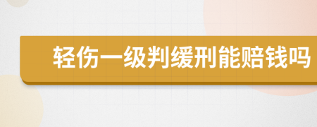 轻伤一级判缓刑能赔钱吗