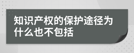 知识产权的保护途径为什么也不包括