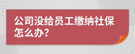 公司没给员工缴纳社保怎么办？