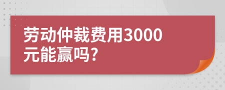 劳动仲裁费用3000元能赢吗?