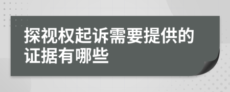 探视权起诉需要提供的证据有哪些