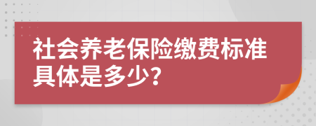 社会养老保险缴费标准具体是多少？