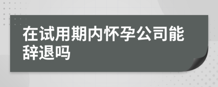 在试用期内怀孕公司能辞退吗