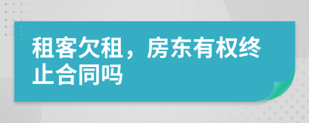 租客欠租，房东有权终止合同吗