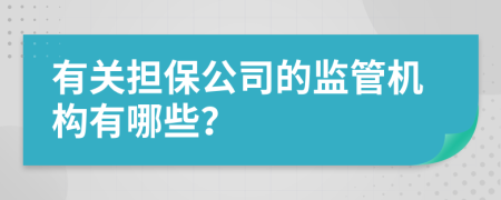 有关担保公司的监管机构有哪些？