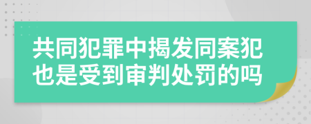 共同犯罪中揭发同案犯也是受到审判处罚的吗