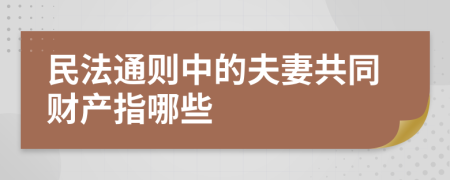 民法通则中的夫妻共同财产指哪些