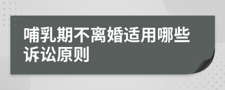 哺乳期不离婚适用哪些诉讼原则