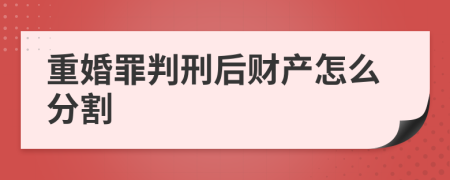 重婚罪判刑后财产怎么分割