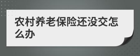 农村养老保险还没交怎么办
