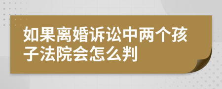 如果离婚诉讼中两个孩子法院会怎么判