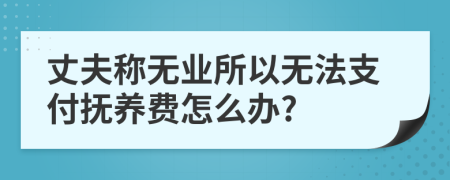 丈夫称无业所以无法支付抚养费怎么办?