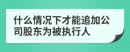 什么情况下才能追加公司股东为被执行人