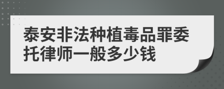 泰安非法种植毒品罪委托律师一般多少钱