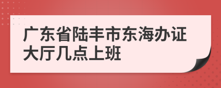 广东省陆丰市东海办证大厅几点上班