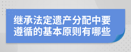 继承法定遗产分配中要遵循的基本原则有哪些