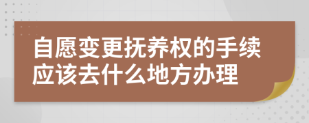 自愿变更抚养权的手续应该去什么地方办理