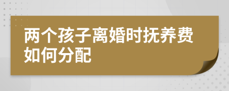 两个孩子离婚时抚养费如何分配