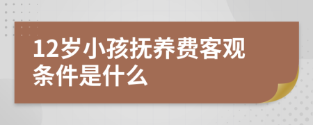 12岁小孩抚养费客观条件是什么