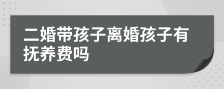 二婚带孩子离婚孩子有抚养费吗