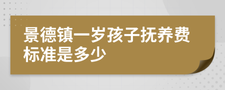 景德镇一岁孩子抚养费标准是多少