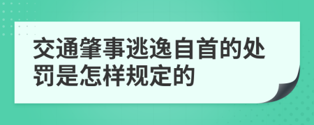 交通肇事逃逸自首的处罚是怎样规定的