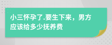 小三怀孕了.要生下来，男方应该给多少抚养费