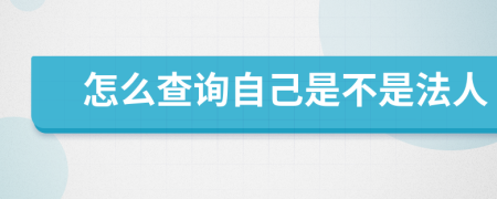 怎么查询自己是不是法人