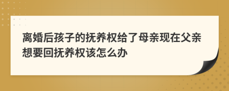 离婚后孩子的抚养权给了母亲现在父亲想要回抚养权该怎么办