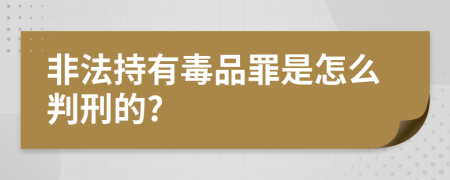 非法持有毒品罪是怎么判刑的?