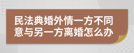 民法典婚外情一方不同意与另一方离婚怎么办