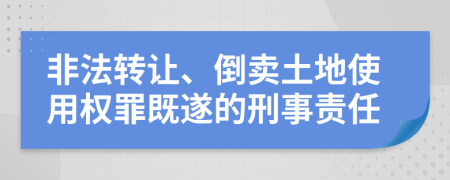 非法转让、倒卖土地使用权罪既遂的刑事责任