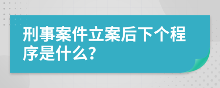 刑事案件立案后下个程序是什么？