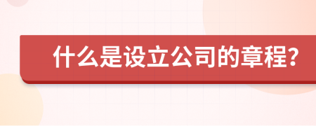 什么是设立公司的章程？