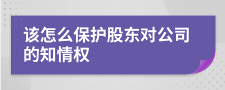 该怎么保护股东对公司的知情权