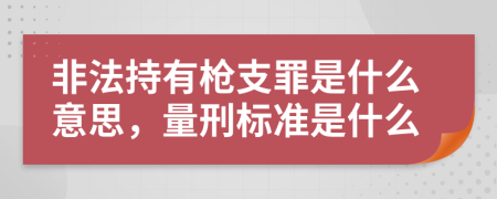 非法持有枪支罪是什么意思，量刑标准是什么