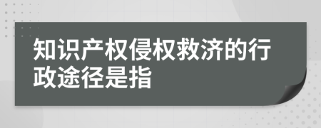 知识产权侵权救济的行政途径是指