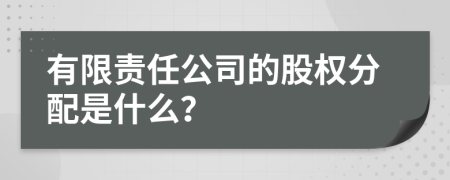 有限责任公司的股权分配是什么？